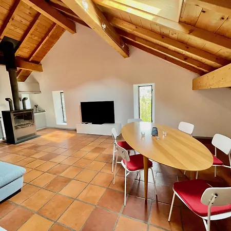 Grosszuegige Dachwohnung In Tessiner Altbau Apartment *