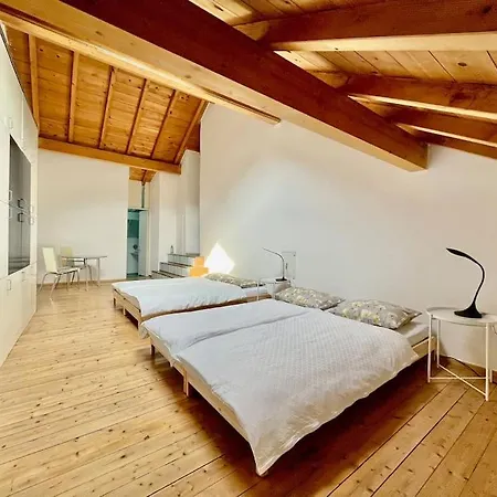 Grosszuegige Dachwohnung In Tessiner Altbau Apartment *