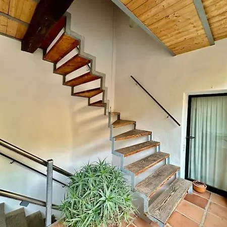 Grosszuegige Dachwohnung In Tessiner Altbau Apartment *